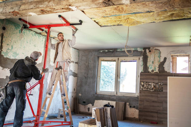 Best Cellulose Insulation in River Grove, IL