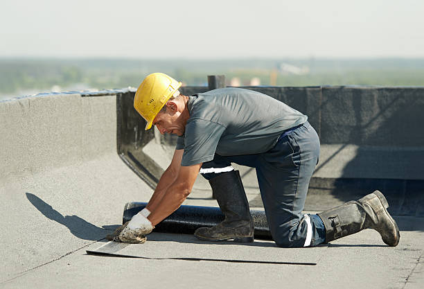 Best Residential Insulation in River Grove, IL