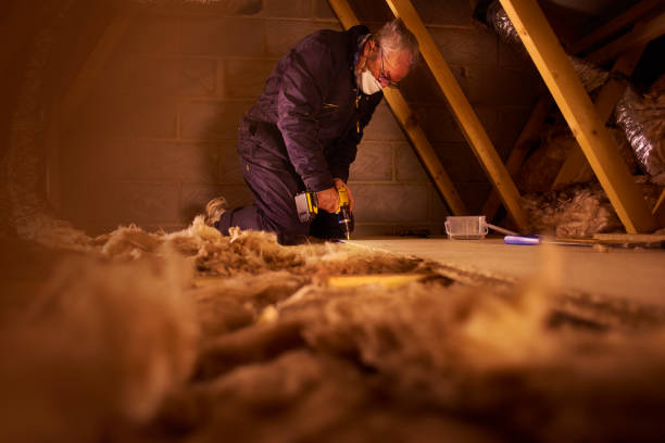 Types of Insulation We Offer in River Grove, IL